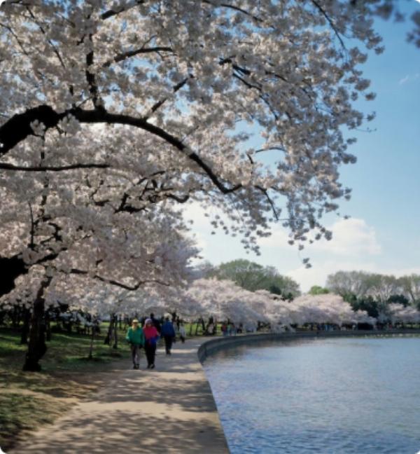 Private Mui Ne Jeep Tour (4 Hours, Max. 4 People/jeep) (Morning)