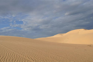 White Sanddunes ½ Day